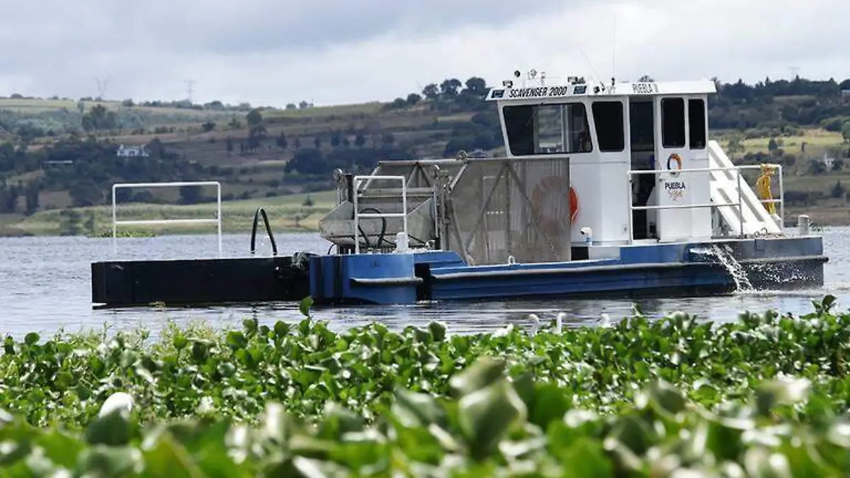 barcos saneadores